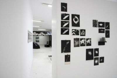 Andrzej Jórczak. Patrząc na Alpha Ursae