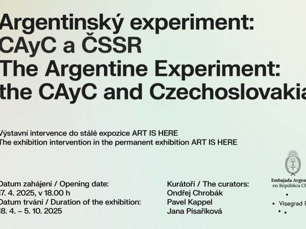 Argentyński eksperyment: CAyC i CSSR
