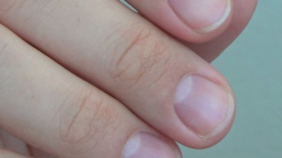 Arton Review. Wokół formy filmowej