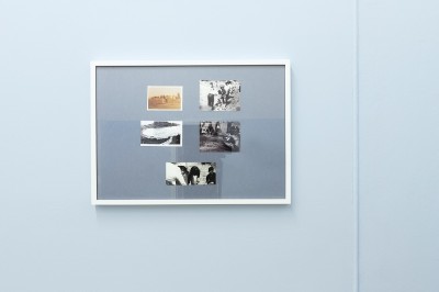 Barbara Kozłowska. Linia