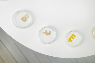 Barbara Maroń. Opowieść szkatułkowa