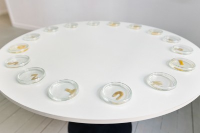 Barbara Maroń. Opowieść szkatułkowa