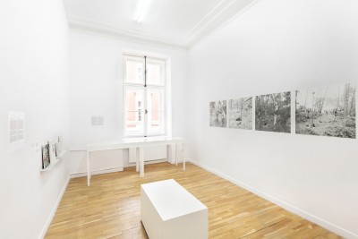 Czym jest dzieła mniej, tym lepszy efekt. Liliana Lewicka