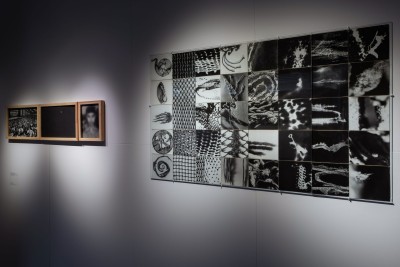 Jagoda Przybylak: „...trzeba zobaczyć”