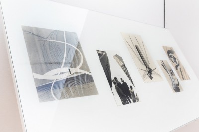 Kim jest Janina Węgrzynowska?