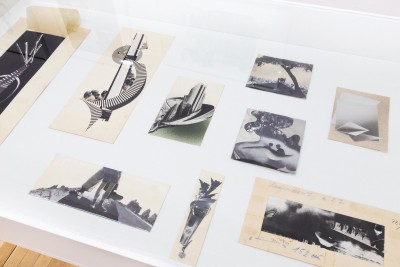 Kim jest Janina Węgrzynowska?