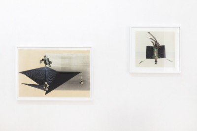 Kim jest Janina Węgrzynowska?