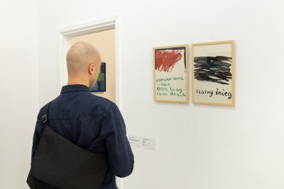 Małgorzata Rittersschild. The Lizard Means Short-Lived Happiness