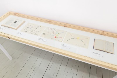 Małgorzata Rittersschild. The Lizard Means Short-Lived Happiness