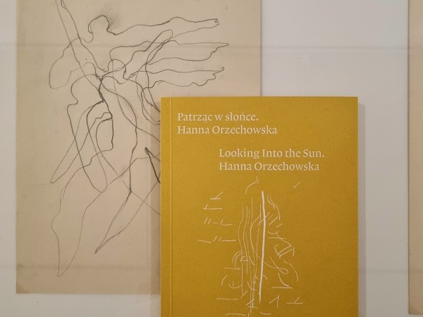 Patrząc w słońce. Hanna Orzechowska - książka