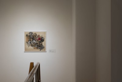 Patrząc w słońce. Hanna Orzechowska