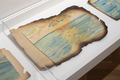 Patrząc w słońce. Hanna Orzechowska