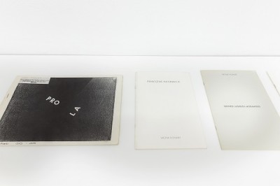 Sztuka Kobiet. Iwona Lemke-Konart