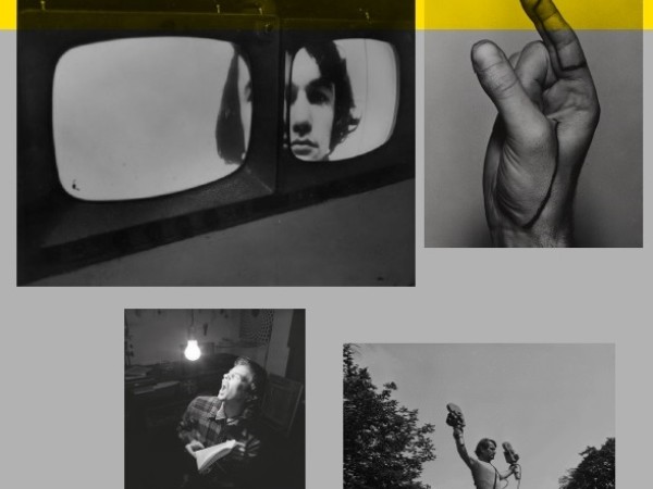 Warsztat Formy Filmowej