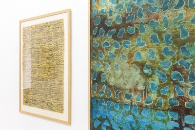 Grown in Love: Liliana Mikołajewska-Jansen