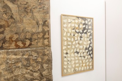 Grown in Love: Liliana Mikołajewska-Jansen