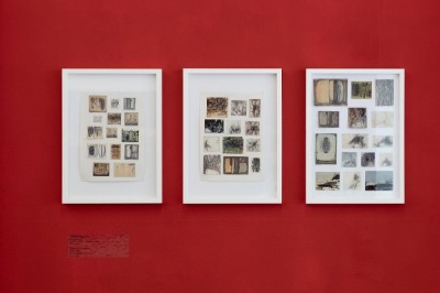 Zdzisław Jurkiewicz. Sun in the Kitchen